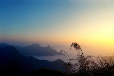 天津成人高考政治是開(kāi)卷考試的嗎？