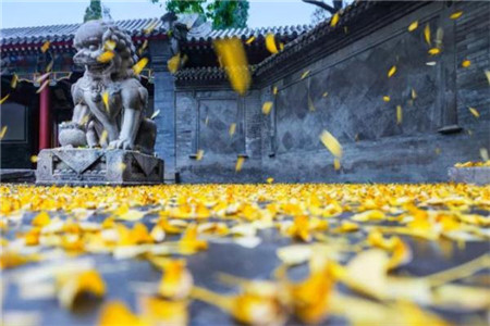 天津體育學院成人高考怎么報名？