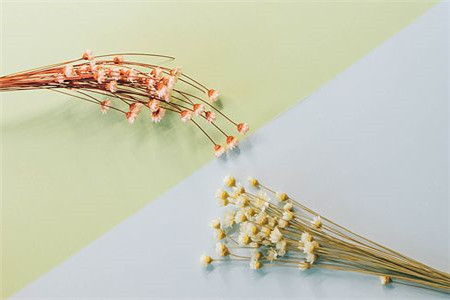 天津市成人高考數學考試技巧