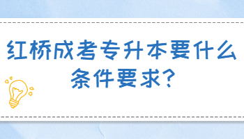 紅橋成考專升本要什么條件要求