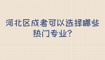 河北區成考可以選擇哪些熱門專業