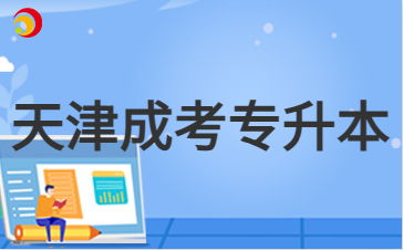 2024年天津成人高考專升本計算機考試題型
